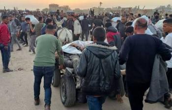 الإعلام الحكومي: ارتفاع حصيلة الضحايا المُجوَّعين إلى 102 شهيد و490 مصابًا خلال 8 أيام