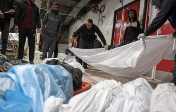 ألمانيا تطالب بوقف فوري لإطلاق النار في غزة