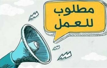 وزارة العمل تعلن عن 185 فرصة عمل مجزية في السويس