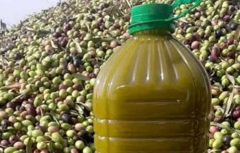 دليلك الشامل لزيت الزيتون: الفوائد وكيفية التمييز بين الأصلي والمغشوش