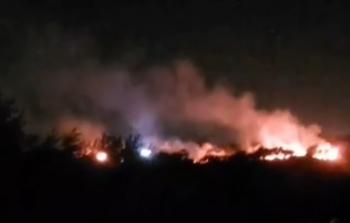 مستوطنون يحرقون أشجار زيتون جنوب نابلس