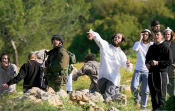 إصابة مسن جراء اعتداء مستوطنين جنوب الخليل