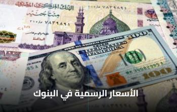 الدولار مقابل الجنيه في البنوك اليوم الثلاثاء 30 ديسمبر 2025