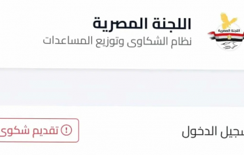 اللجنة المصرية: 90 ألف طرد غذائي في خان يونس.. تفاصيل التوزيع ورابط الاستعلام
