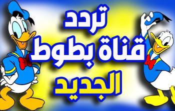 تردد قناة بطوط للأطفال 2025: دليلك الشامل للمشاهدة الممتعة
