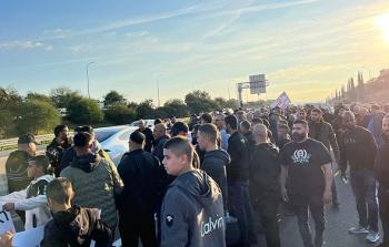 مظاهرة الزرازير