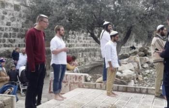 مستوطنون يقتحمون المقامات الإسلامية في كفل حارس شمال سلفيت