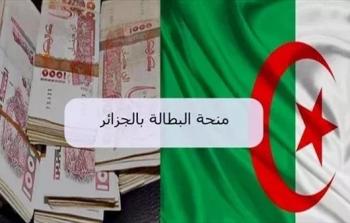 منحة البطالة الجزائر 2006 خطوات التقديم للمنصة الرسمية