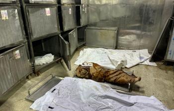 الصحة: 26 شهيدًا و68 إصابة وصلوا مستشفيات غزة خلال 24 ساعة