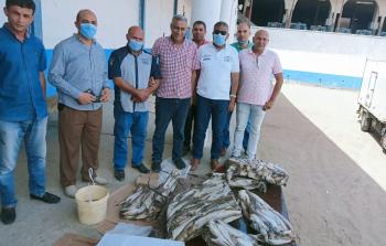 مباحث التموين في خانيونس تضبط (715) كلغم من السمك المجمّد الفاسد