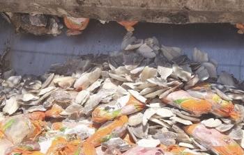 بلدية خانيونس تتلف 1,460 كيلوغرامًا من الأغذية الفاسدة