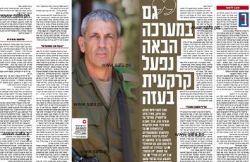 ميكي ادلشتاين