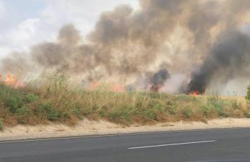 WhatsApp Image 2018-05-07 at 4.00.12 PM