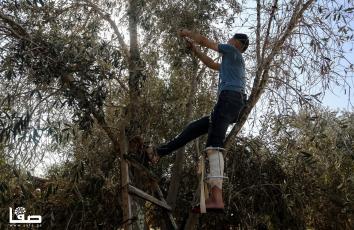 WhatsApp Image 2019-10-22 at 3.45.10 PM