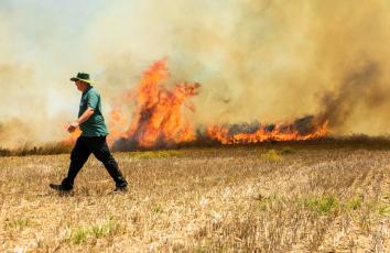 WhatsApp Image 2018-06-21 at 4.02.38 PM