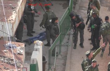 1935179_756199844511061_6529344229892145932_n