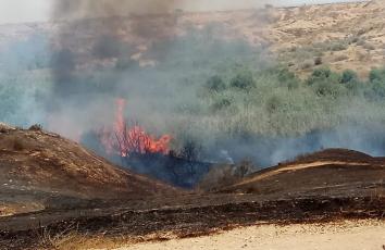 WhatsApp Image 2018-05-17 at 1.28.17 PM