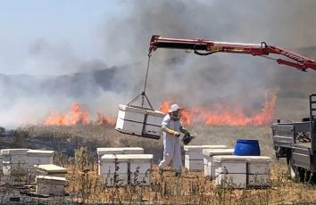 WhatsApp Image 2018-06-11 at 4.31.01 PM