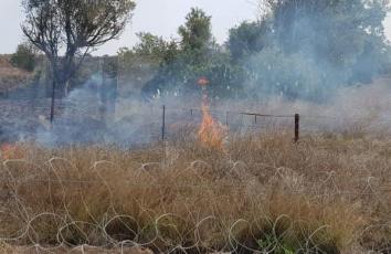 37273180_532838487133092_592301098497212416_n