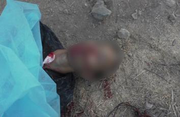 14642433_1132117986908340_1226391638700317467_n