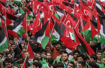 32215500_1764548290332968_8997910722243461120_n