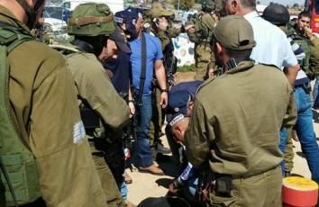 12596358_1512831765692149_495260965_n