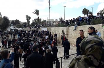 WhatsApp Image 2017-12-07 at 12.52.11 PM (1)