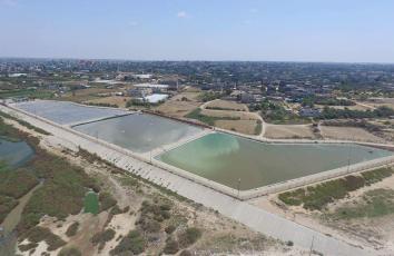 received_244862289246461