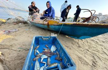 حصيلة الصيادين في غزة.. بضع كيلوغرامات من الأسماك بعد استهداف معدات الصيد خلال الحرب