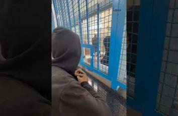 منذ 2 مارس دون مساعدات.. الأدوية على وشك النفاد من عيادات "أونروا" في غزة