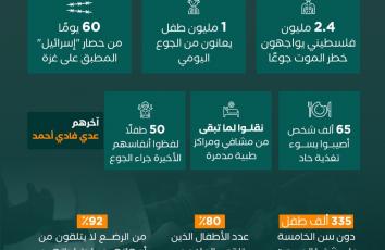 بالأرقام.. تداعيات مرعبة لأزمة تجويع غزة