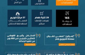 كم شهيدًا قدمت غزة لتأمين المساعدات وإفشال خطط الاحتلال؟