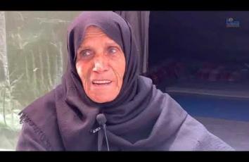 الحاجة آمنة أبو العيش تعيش ظروفًا مأساوية في مخيم نازحين بمدينة غزة بعد ارتقاء حفيدها الوحيد