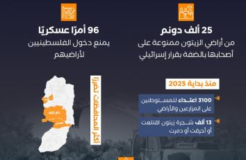 شجرة الزيتون تُحاصر بالضفة.. إرهاب إسرائيلي من نوع آخر