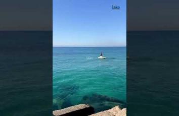 مشاهد من بحر مدينة غزة