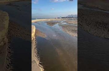 تدمير الاحتلال للبنية التحتية يحول شاطئ غزة إلى مصب لمجاري الصرف الصحي