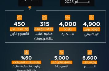 الولادة في غزة 2025.. أرقام صادمة في عام الحرب والمجاعة