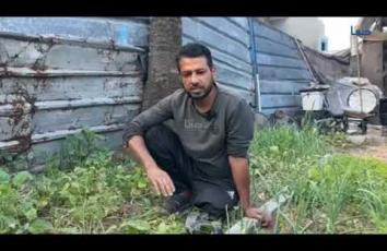 المزارع محمد نصير لم تمنعه الإصابة جراء الحرب الإسرائيلية على غزة من مواصلة عمله في الزراعة