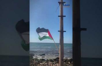 وقفة على شاطئ غزة تنديدًا باعتراض الاحتلال "أسطول الصمود العالمي" في المياه الدولية قبل وصوله للقطاع