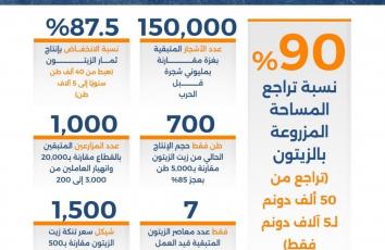 في غزة.. موسم زيتون حزين