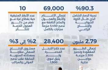 الفاتورة الثقيلة للثروة الحيوانية في غزة