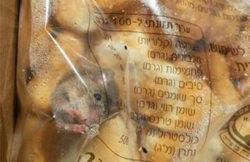 الفأر عثر عليه في أكياس 