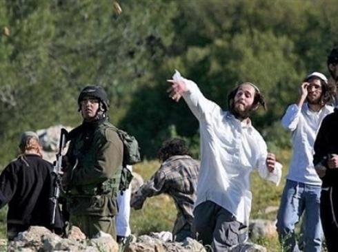 مستوطنون يقتحمون "وادي الحيات" شمال أريحا