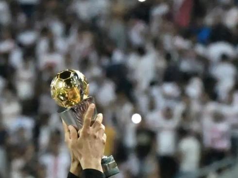 كأس البطولة