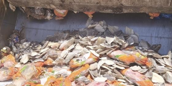 بلدية خانيونس تتلف 1,460 كيلوغرامًا من الأغذية الفاسدة