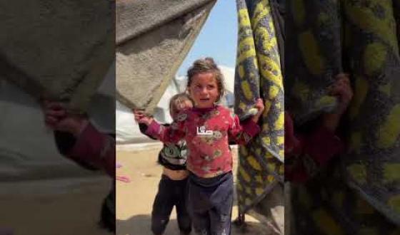 معاناة النازحين بالخيام في بلدة الزوايدة وسط قطاع غزة في ظل موجة الحر اليوم