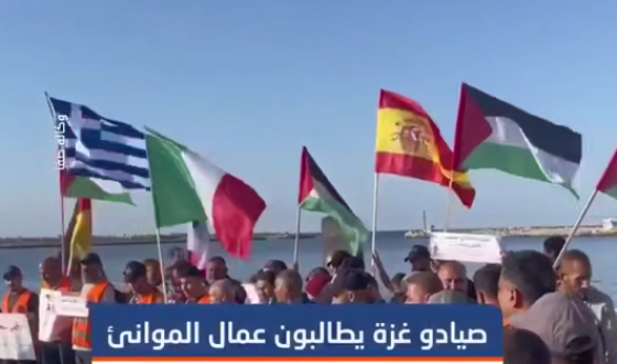 وقفة تضامنية في ميناء الصيادين غربي غزة، تزامنًا مع الإضراب العالمي لعمال الموانئ، رفضًا لتغذية الحروب والمطالبة بفك الحصار عن القطاع