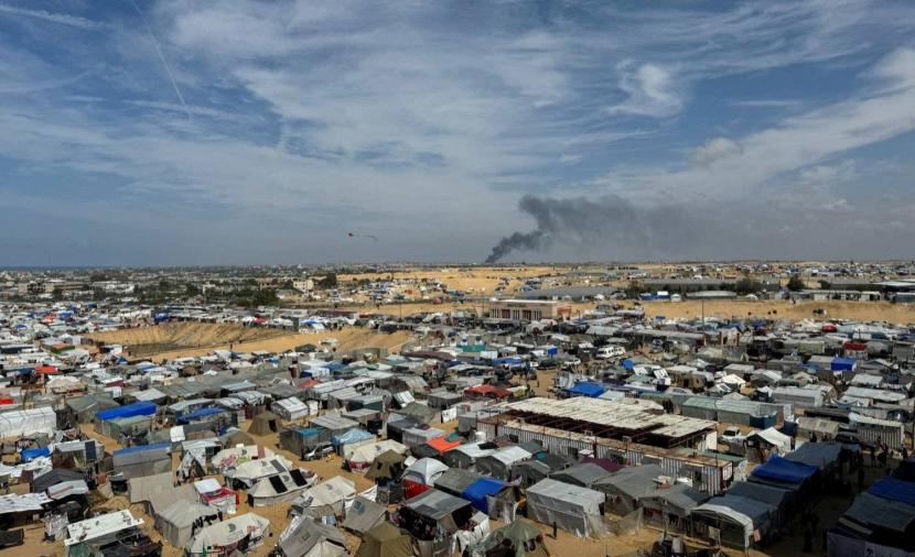 الأونروا: الجرذان تعض الأطفال في الخيام بغزة