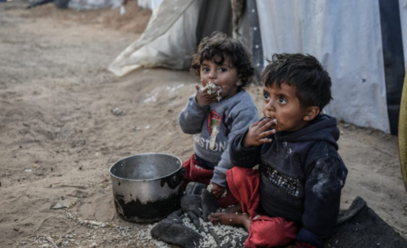 اوتشا تحذر من انتشار الأمراض بغزة