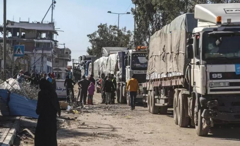 تنمية غزة: إجراءات رقابية مشددة على جودة المساعدات